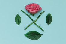 Creative Natural Layout Made Of Leaves, Rose And Flower Stalk On Blue Serenity Background. Flat Lay. Top View.