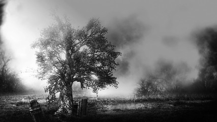 Wall Mural - The scary tree and graveyard /