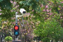 CCTV Cameras On The Red And Green Light