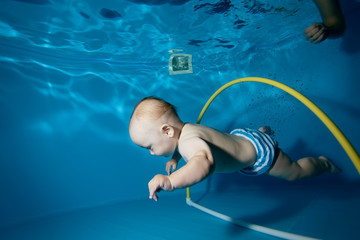 Wall Mural - The baby is trained to swim through a Hoop underwater in the pool on a blue background. Close-up. Horizontal orientation