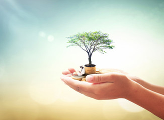 Wall Mural - World environment day concept: Human hand holding a girl reading book, stack of golden coins and big tree over blurred nature background