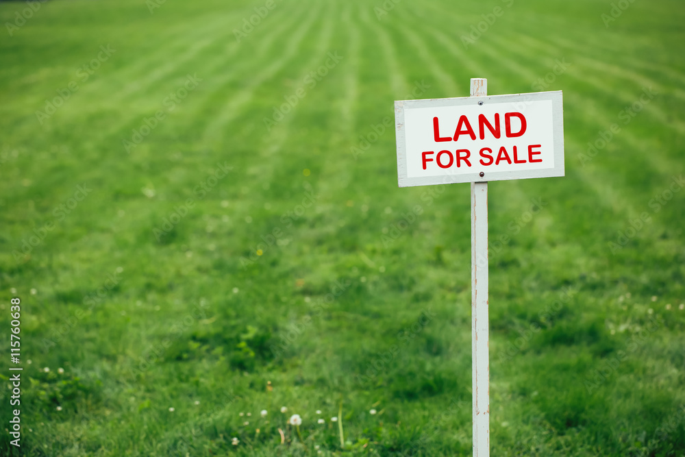 land for sale sign against trimmed lawn background - obrazy, fototapety, plakaty 