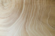 wood background. wood background. wood texture. wood texture. elm