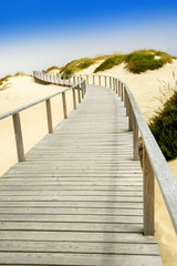  wooden walkboard on beach dunes