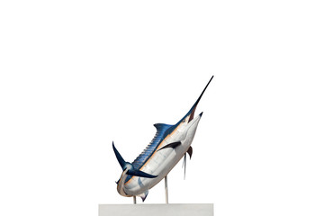 Wall Mural - Marlin - Swordfish,Sailfish saltwater fish (Istiophorus) isolate