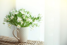 Bouquet Of Little White Flowers On Wicker Furniture
