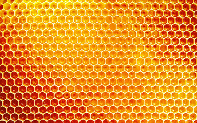 Background texture and pattern of honeycomb