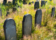 Old Abandoned Jewish Cemetery In The Ukrainian Carpathians