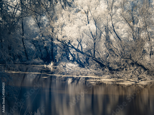 Fotomural Infrared view at Danube floodplains in Slovakia under summer sky with clouds