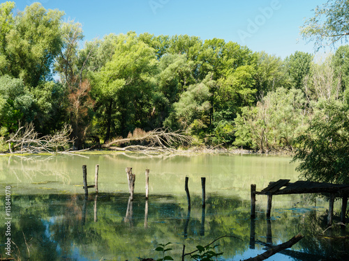 Fotomural Summer view at Danube floodplains with old ruined mole