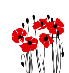 poppy floral vector illustration