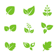 Poster - set of green leaves design elements.