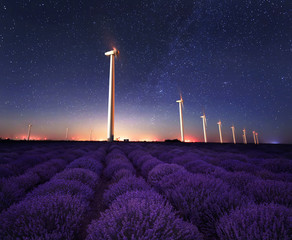 Wall Mural - lavender night / night view of wind farm near а blooming lavender field in northeastern bulgaria