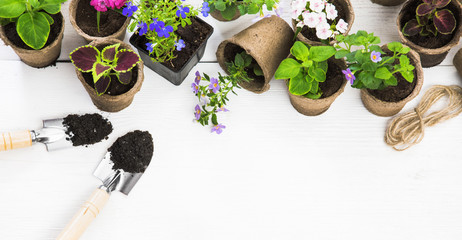 Gardening tools and flowers