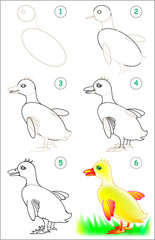 Wall Mural - Page shows how to learn step by step to draw little duck. Developing children skills for drawing and coloring. Vector image.