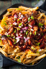 Sticker - Homemade BBQ Pulled Pork French Fries