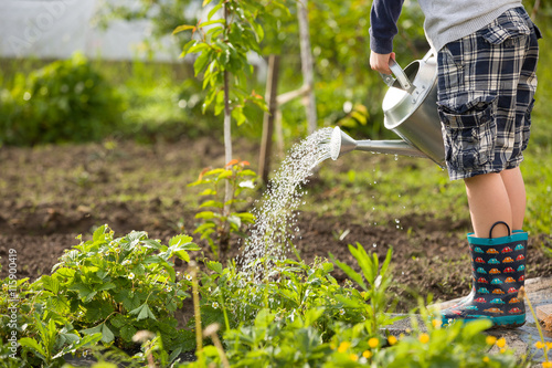 Cute Little Toddler Boy Watering Plants With Can In The Cute Little Toddler Boy Watering Plants With Can In The Garden Adorable Child