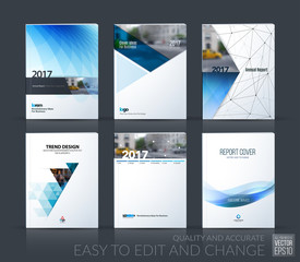 Wall Mural - Brochure template layout, cover design annual report, magazine, 