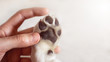 Welpen Pfote eines Hundes mit der Hand eines Menschen zusammen - Familie Handschlag