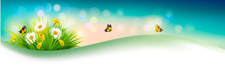 Poster - Nature summer background with grass, flowers and butterflies. Ve
