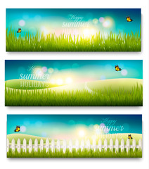 Poster - Three beautiful summer meadow landscape banners with butterflies