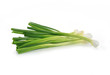 © evegenesis - Green Onion on white background