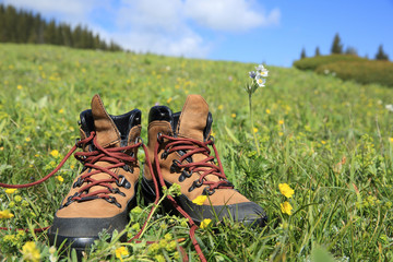 hiking boots on green grassland under blue sky