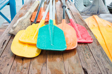 Set Of Colorful Oar And Paddles Of Kayak And Canoe Sport