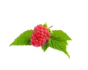 Wall Mural - Ripe red raspberries isolated on white background