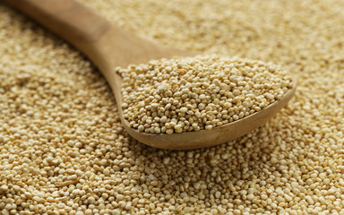 Poster - Quinoa grain in a wooden spoon close-up shot