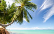 Invitation to dream and relax: Holidays on dream island: Tropical Chaweng Beach on Koh Samui :)
