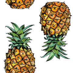 Wall Mural - Seamless pattern with image of a Pineapple fruit in color. Vector illustration.