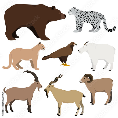 Vector Set Of Cartoon Mountain Animals Grizzly Bear