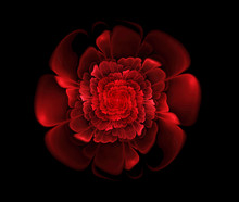 Abstract Fractal Red Flower