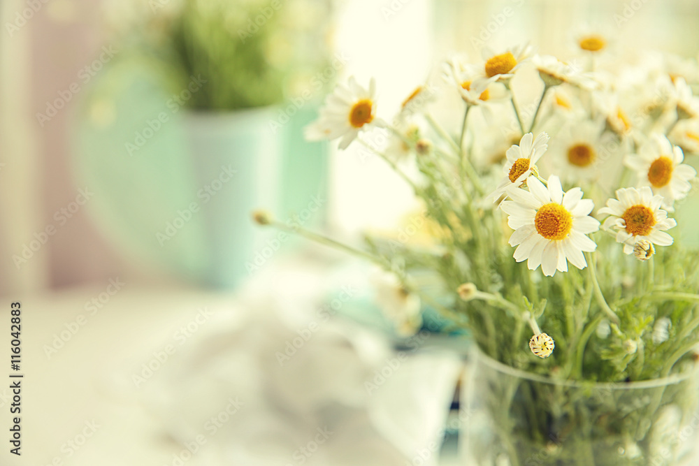 Bouquet of fresh chamomiles on blurred kitchen background