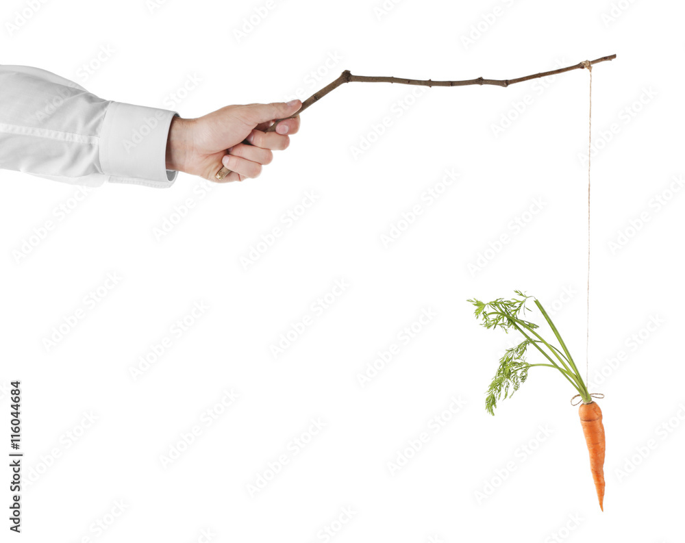 Motivation concept of hanging carrot on stick, isolated on white