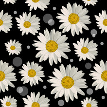 Seamless Pattern With Daisy Flowers