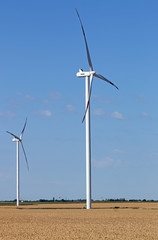 wind turbines on wheat field