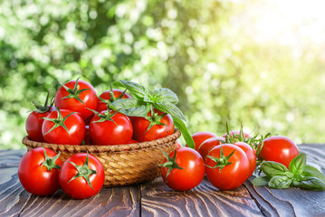 cherry tomatoes and basil on wooden board