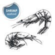 two raw shrimp