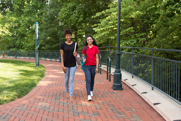 Wall Mural - 2 young african american college student chatting on campus