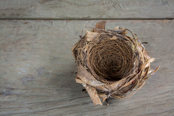 bird nest on wood background