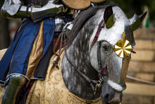 War Horse, Mounted By A Knight In Heavy Armour, Wearing A Chanfron. The Chanfron Was Designed To Protect The Horse's Face, A Decorative Feature Common To Many Chanfrons Is A Rondel With A Small Spike