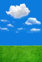 Image Of Green Grass Field And Bright Blue Sky
