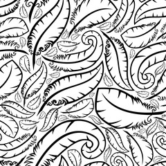 Wall Mural - Feathers on white.