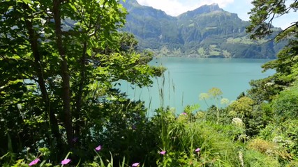 Wall Mural - Wide mountain panorama. Cloudy sky over lake. In the foreground the wind shakes the trees, flowers and high grass. Switzerland, Europe.