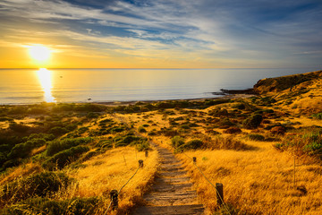 Wall Mural - Hallett Cove Boardwalk