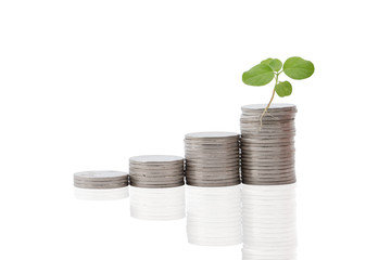 A tree on piles of coins