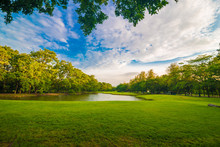 Green Grass Meadow Field On Public Central Park With Tree Cloud