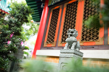 Canvas Print - Stone lion statue